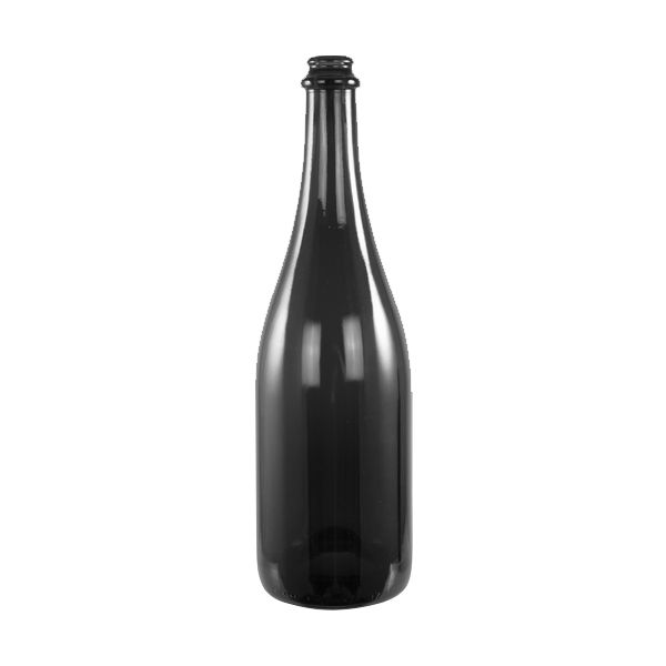 botella de champán negra